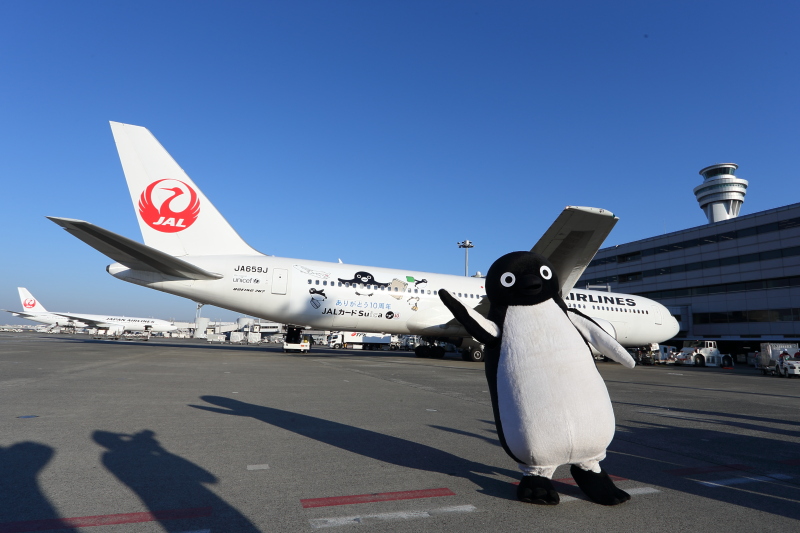 JALカードSuica」発行10周年を記念した特別塗装機「Suicaのペンギン