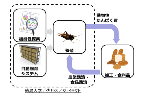 ジェイテクト 徳島大学発のベンチャー企業グリラスと業務提携 食用コオロギの食糧資源化を推進 Car Watch