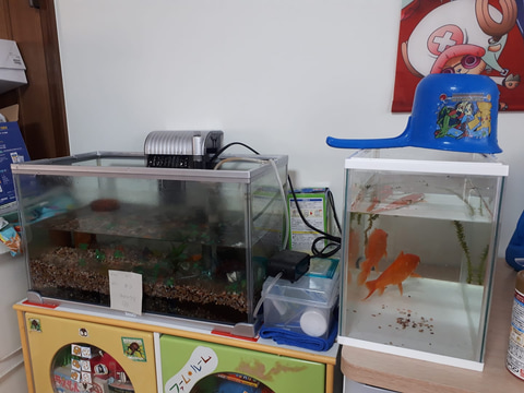 年8月8日 Car Watch