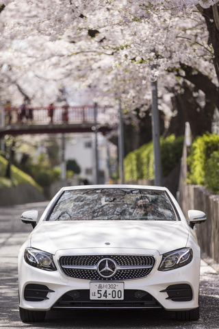 メルセデスミー東京 オープンカーで桜を見る さくらクルーズ 開催 Car Watch