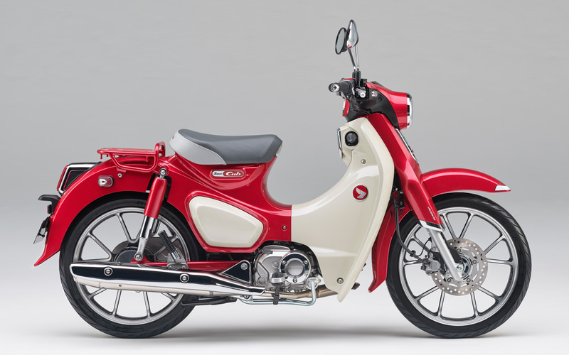 HONDA純正 スーパーカブC125 シート レッド | signalstationpizza.com