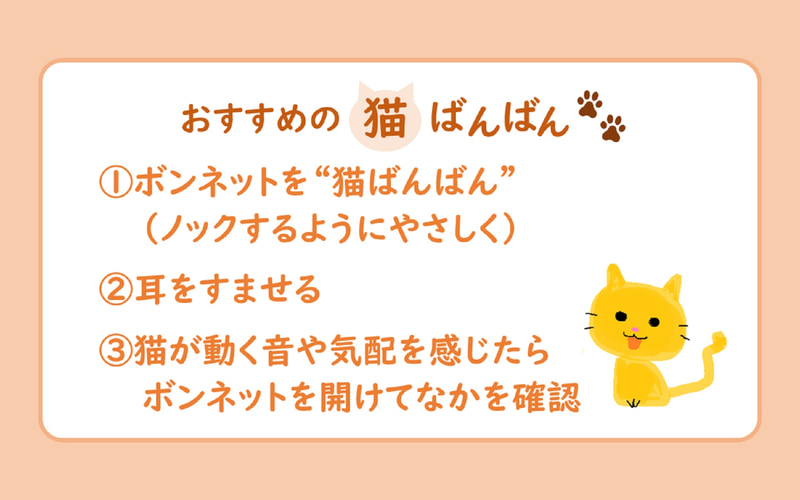 Jaf 猫がエンジンルームなどに入り込んでしまうトラブルを注意喚起 1月には21件発生 Car Watch Jaf 猫がエンジンルームなどに入り込んでしまうトラブルを注意喚起 1月には21件発生 Car Watch