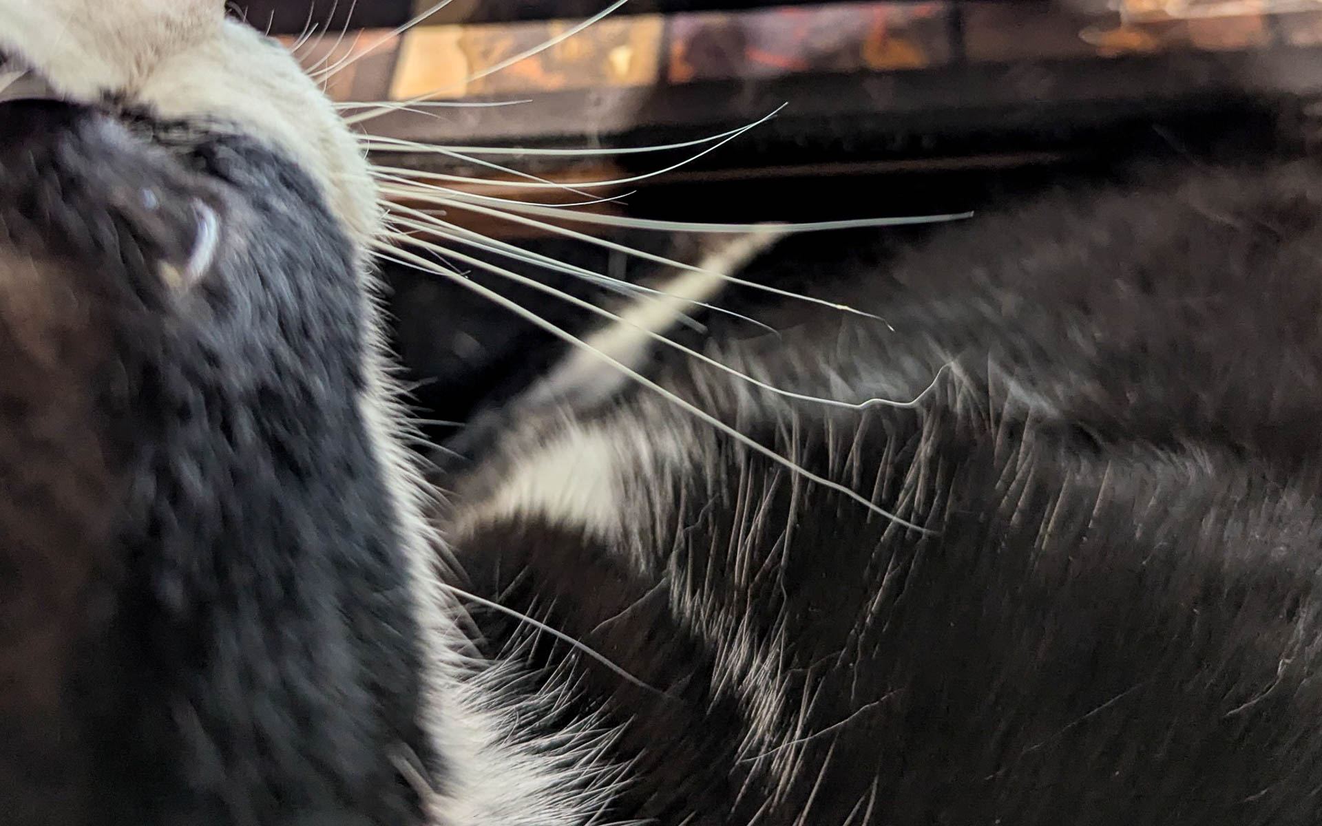 画像]2026年2月13日-Car Watch