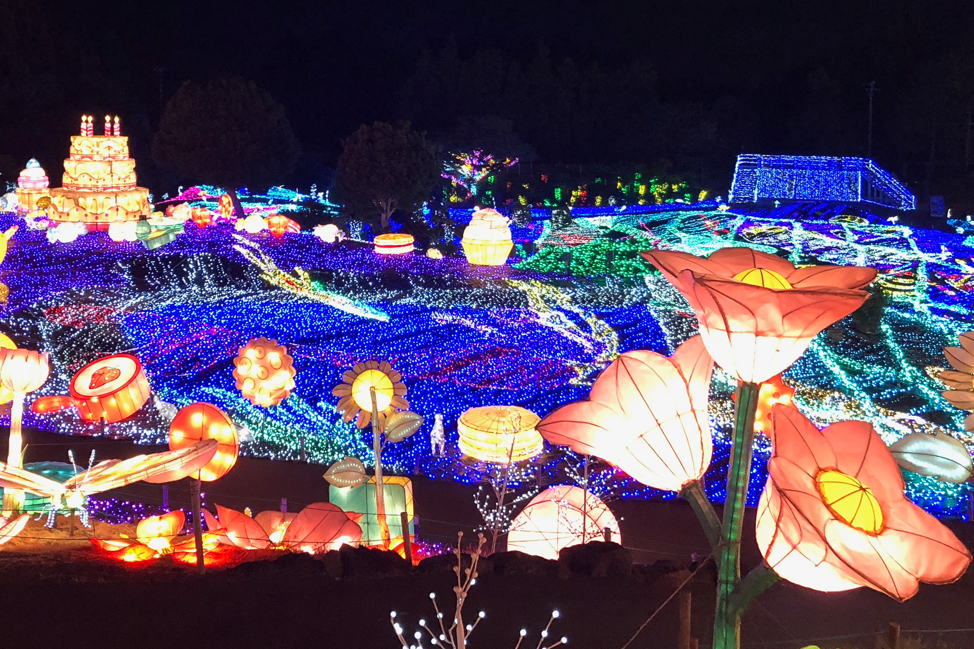 まるも亜希子の「寄り道日和」】冬のお楽しみ、イルミネーション