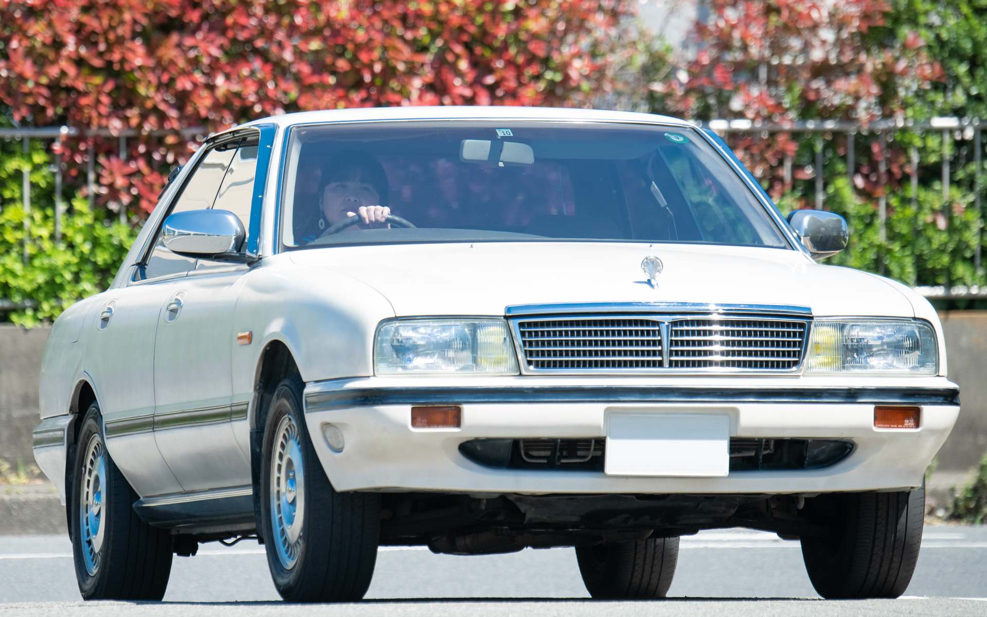 日産、伊藤かずえさんの愛車「シーマ」レストアプロジェクト始動 - Car