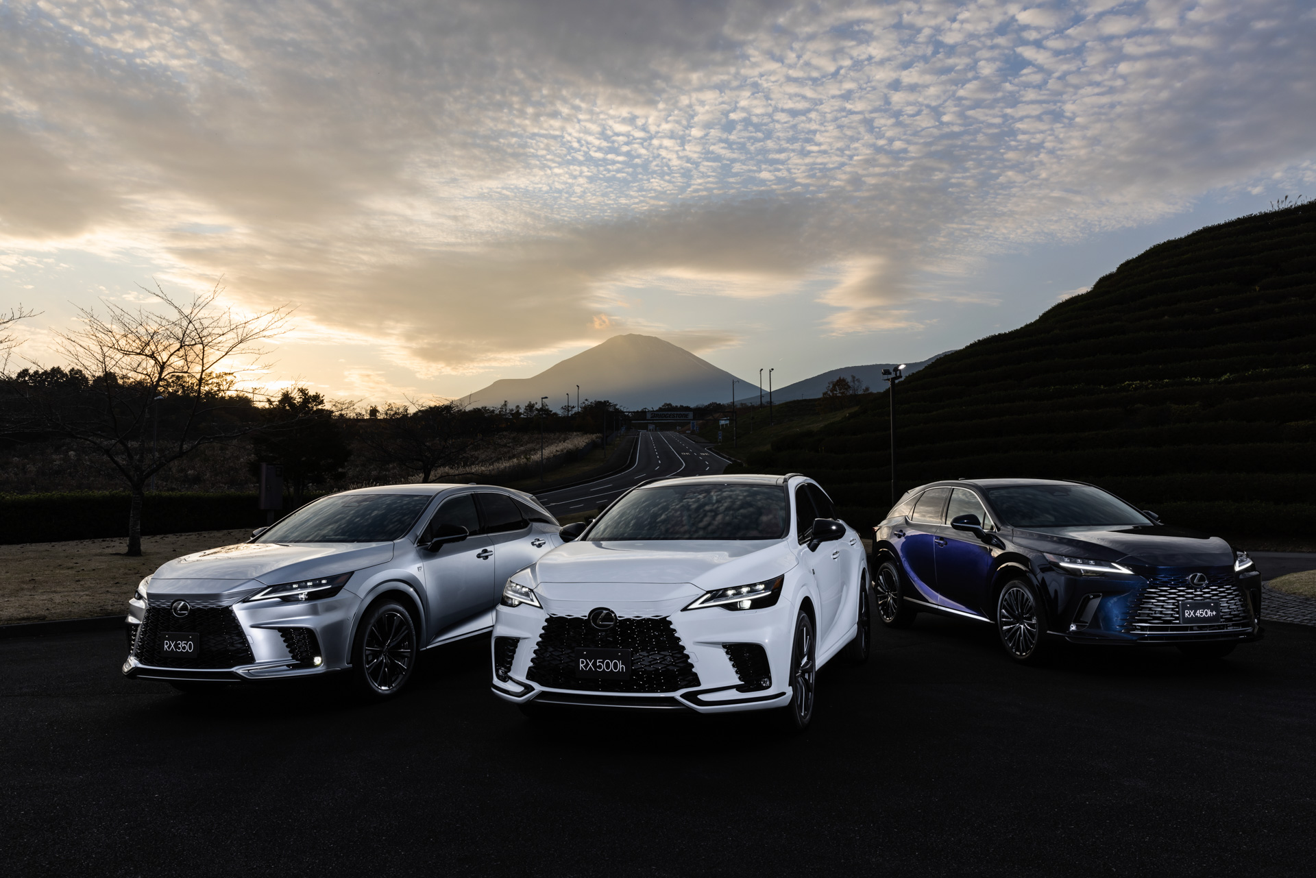 CONTAX RX ボディ　レモン社判定A級　作例あり CONTAX RX ボディ レモン社判定A級 作例あり