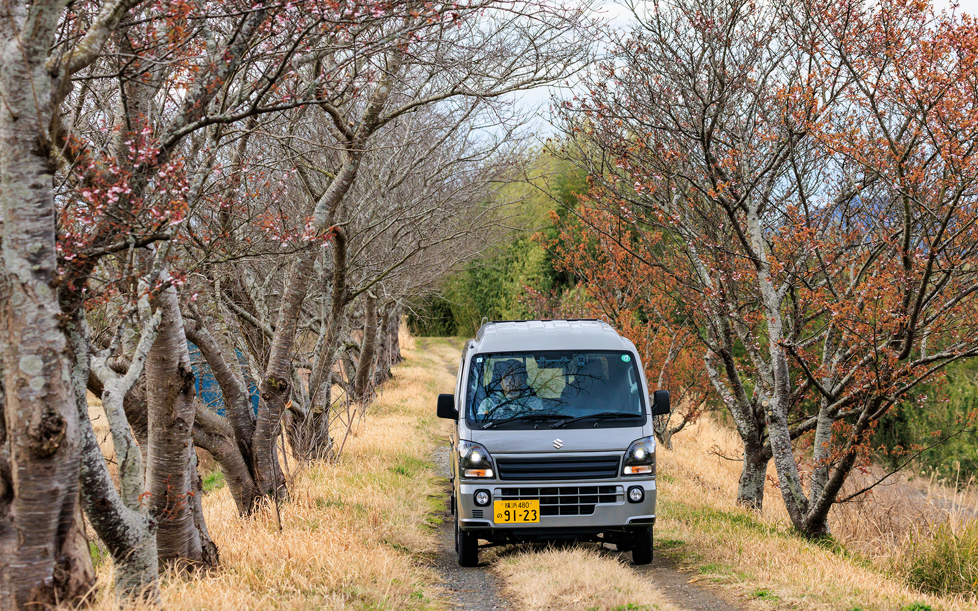 スズキ「スーパーキャリイ」特別仕様車「Xリミテッド」をどう使う？ 働くクルマに乗りながら遊び方を考えた / - Car Watch