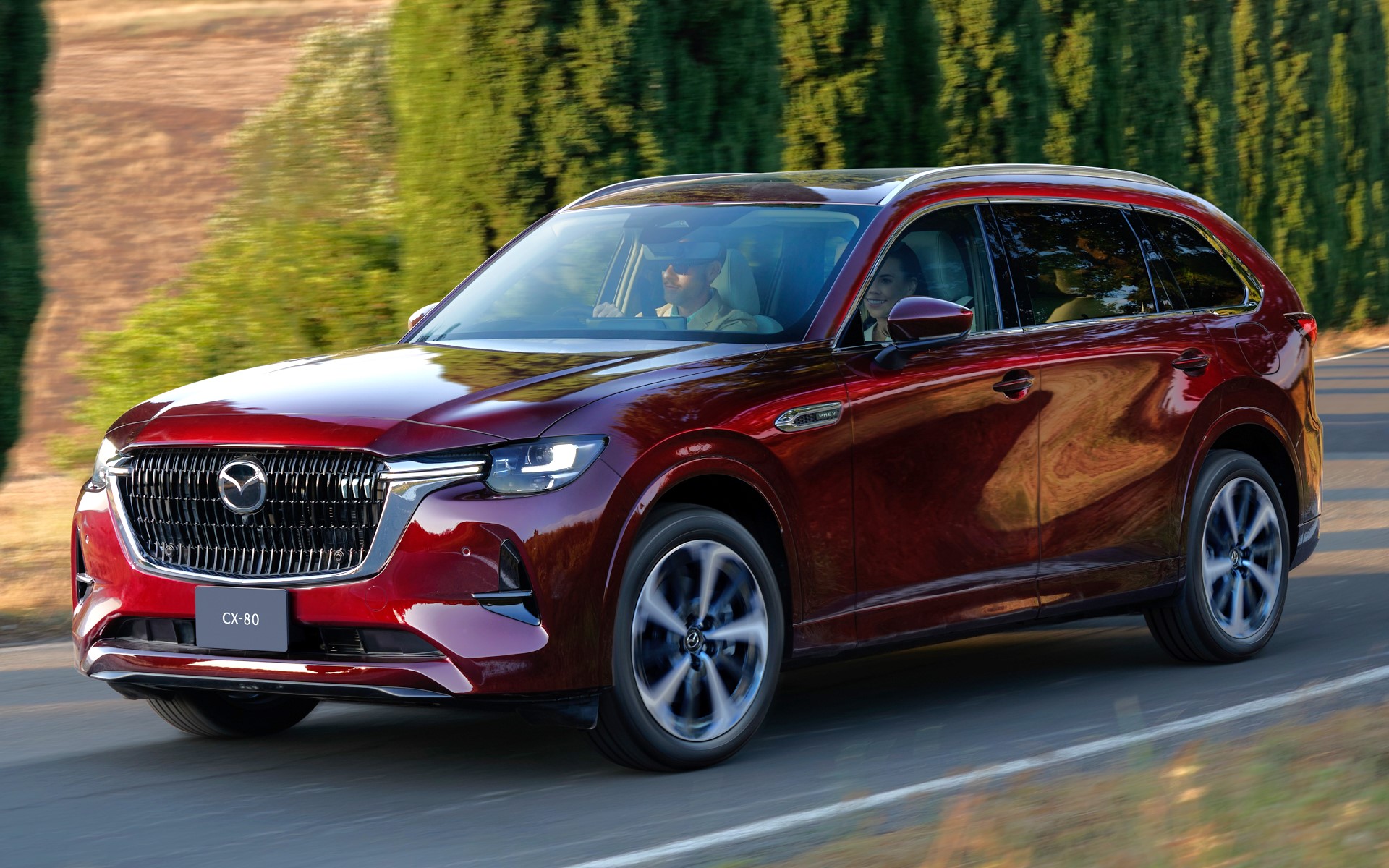 新品　まとめ売り　3Lサイズ 商品詳細表示｜東洋印刷 - ナナワード LDZ4I