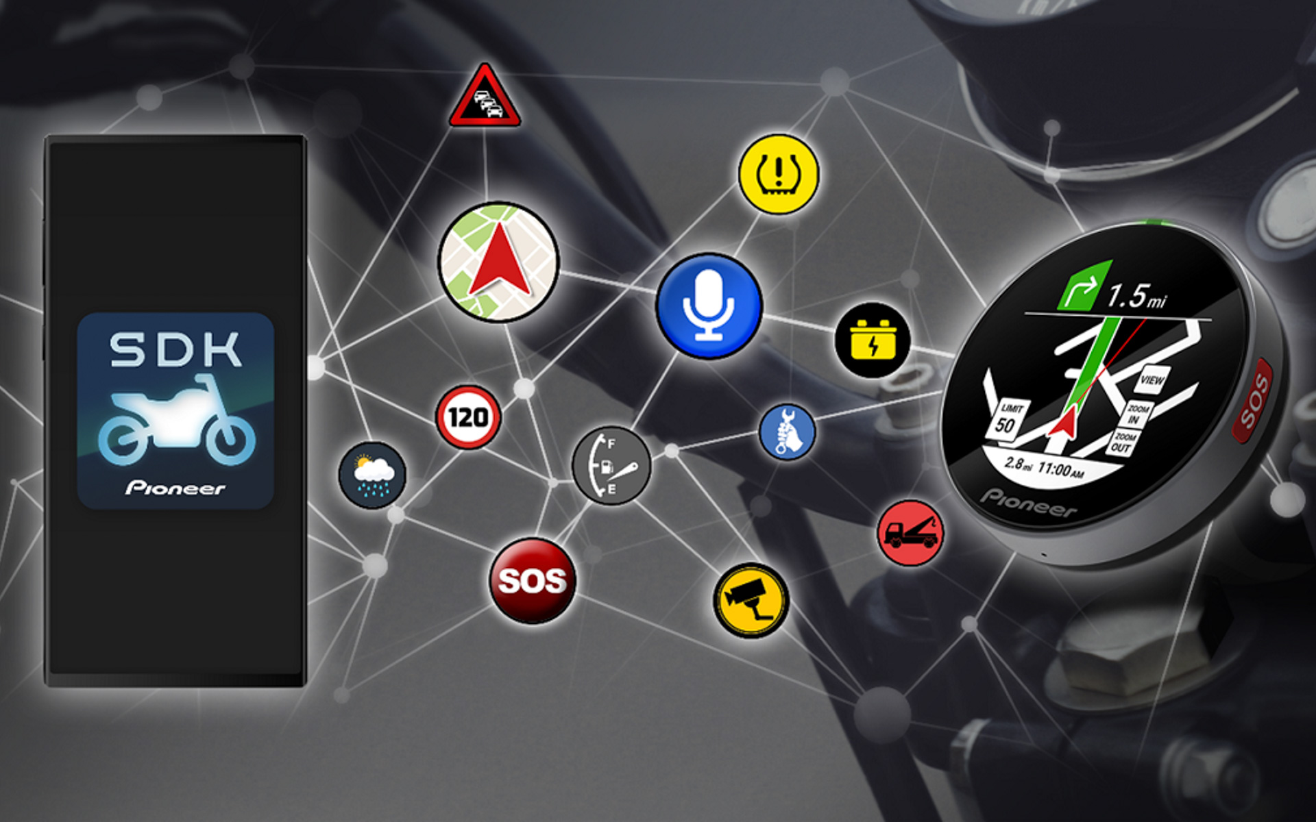 バイオC 8個入り 賞味期限2026年4月18日 バイオC 8個入り 賞味期限2026