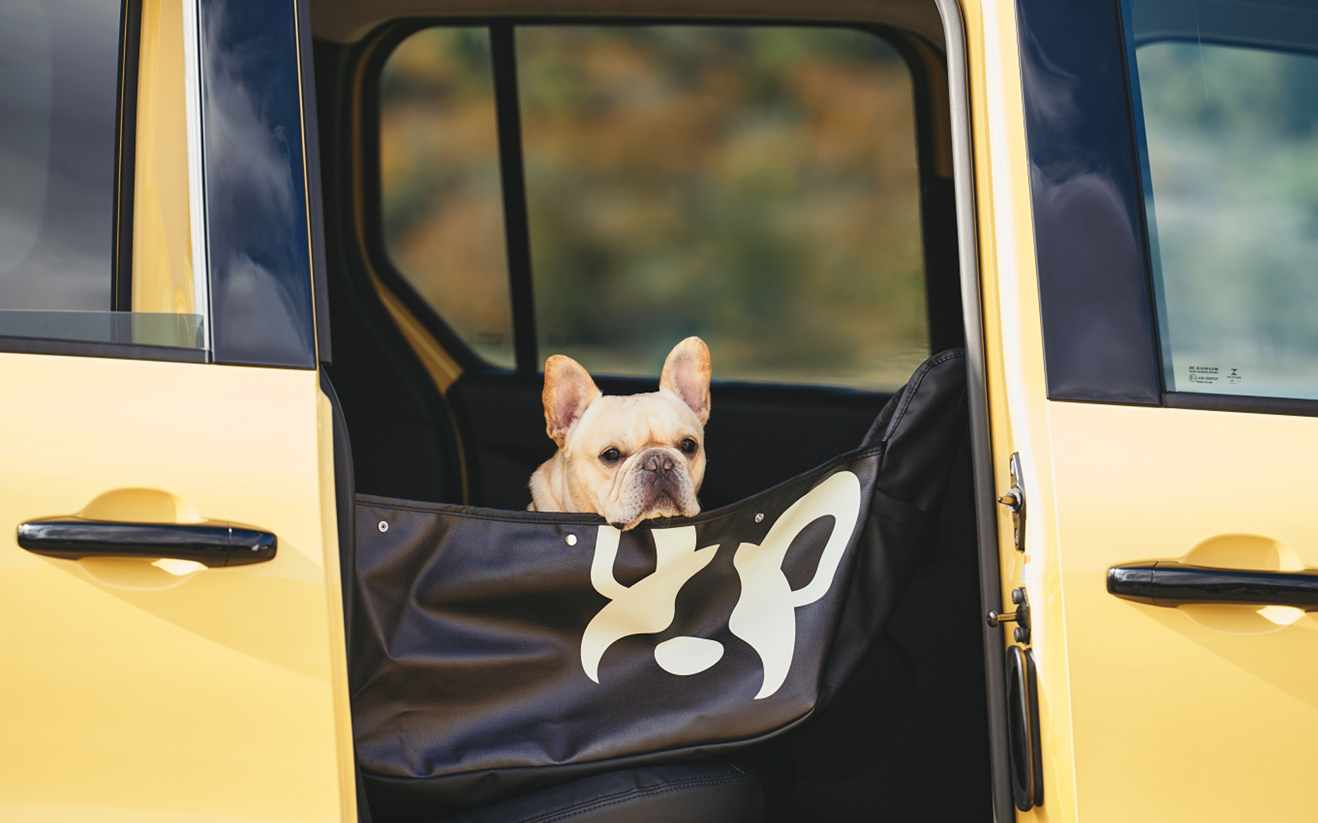 ルノー、「カングー」専用愛犬アクセサリー発売 お得なパッケージ