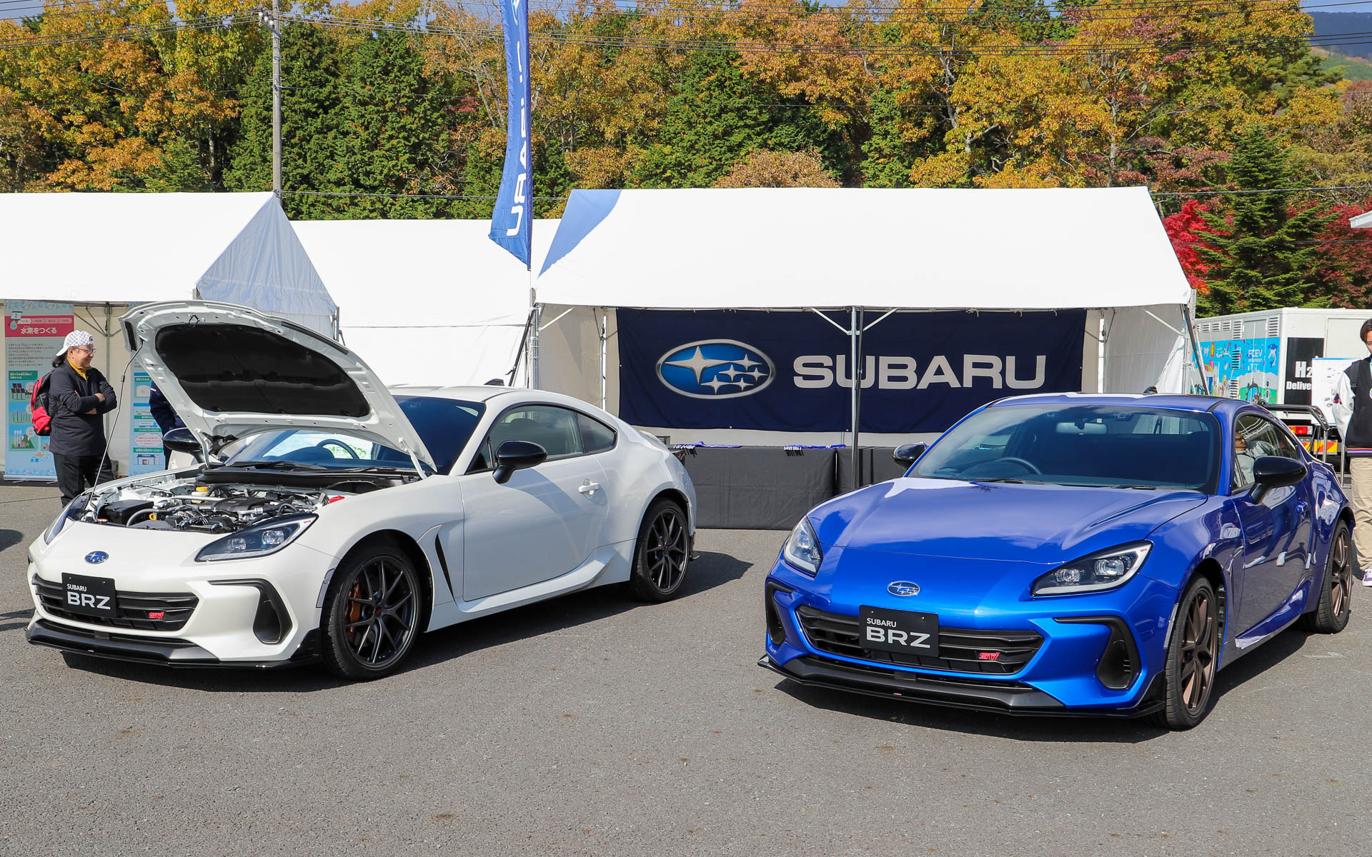 NC-419 スバルBRZ S WR/スバルWRX ST 限定版画 直筆サイン有 額装済