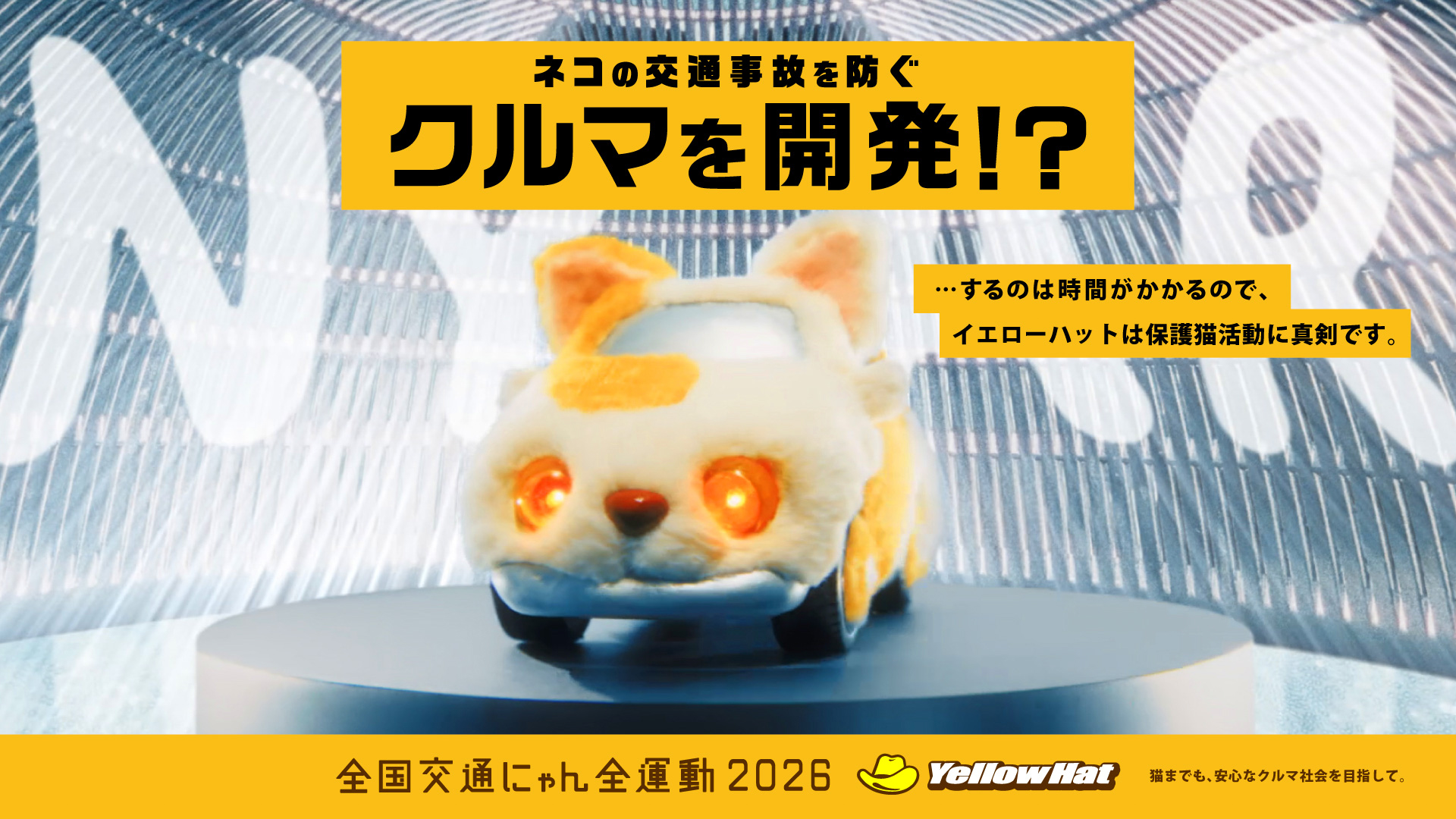 イエローハット、猫の安全を守る「全国交通にゃん全運動」開催 次世代
