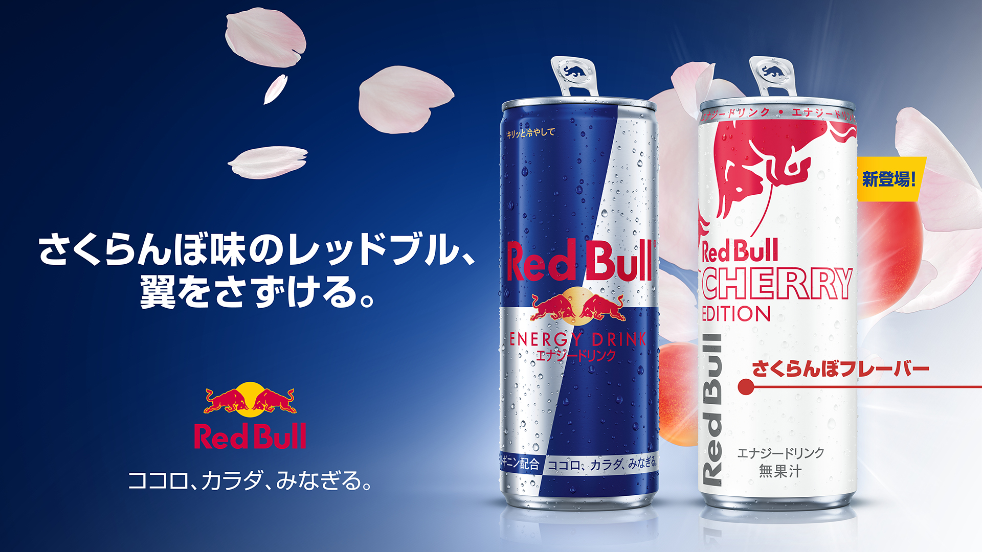 レッドブル、春らしい華やかなさくらんぼ味の「レッドブル・エナジー