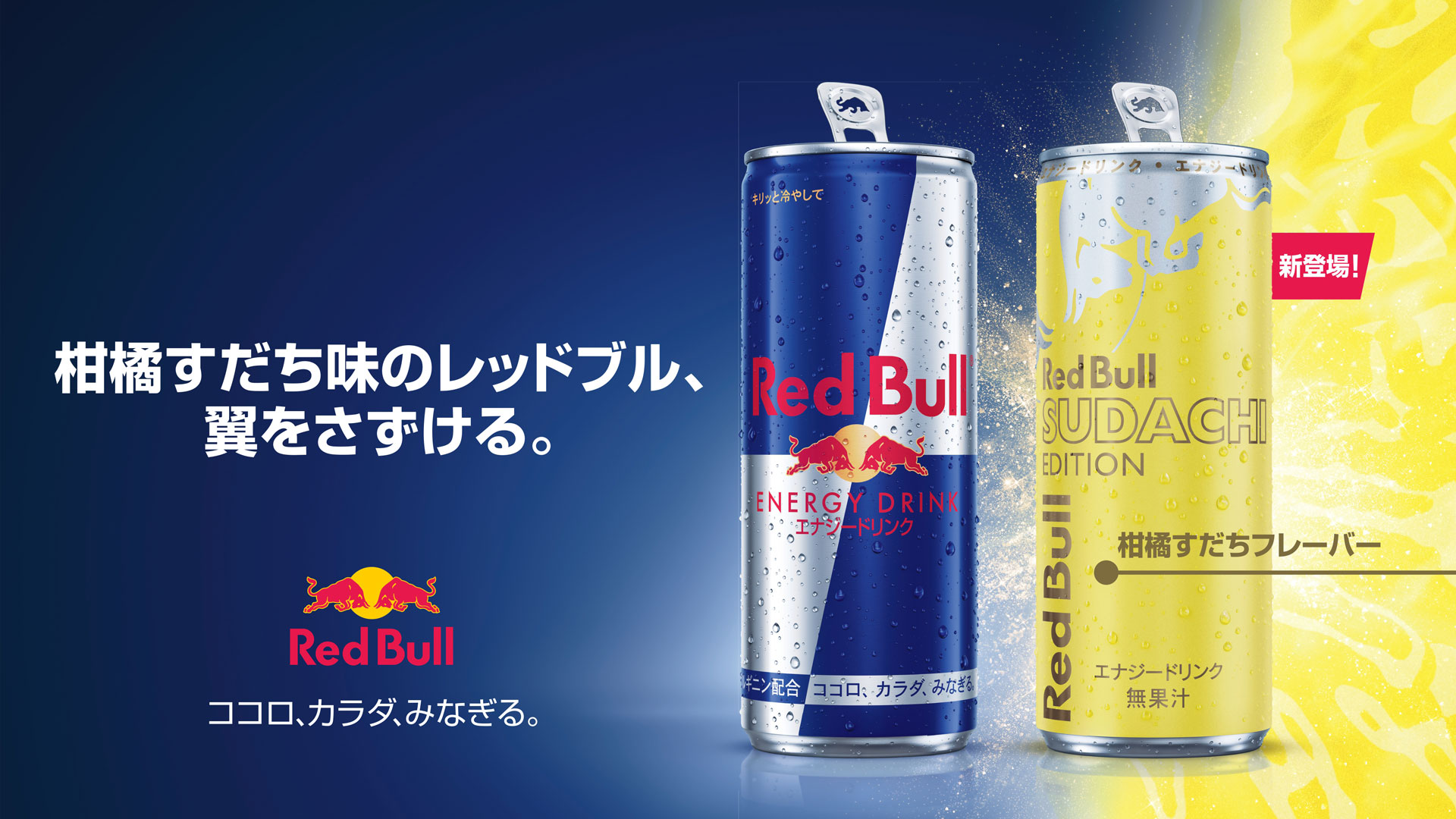 11月24日まで限定SALE‼️レッドブル56本‼️ レッドブル、爽やかな柑橘フレーバーの新商品「レッドブル・エナジー